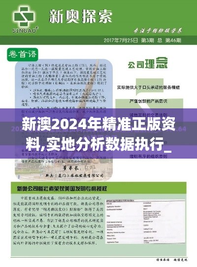 新澳2024年精准正版资料,实地分析数据执行_尊贵款3.188