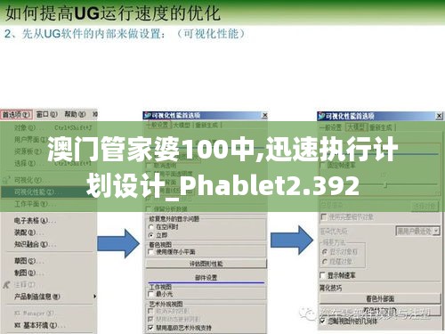 澳门管家婆100中,迅速执行计划设计_Phablet2.392