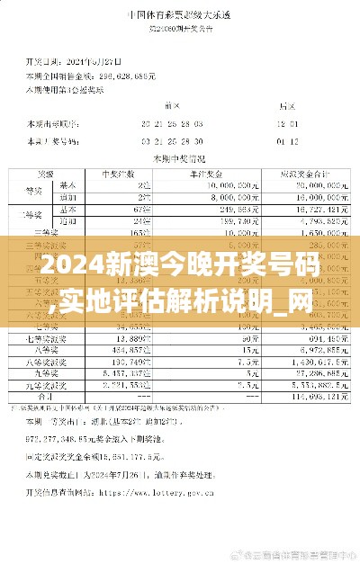 2024新澳今晚开奖号码,实地评估解析说明_网页款10.696