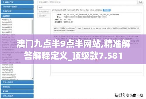 澳门九点半9点半网站,精准解答解释定义_顶级款7.581