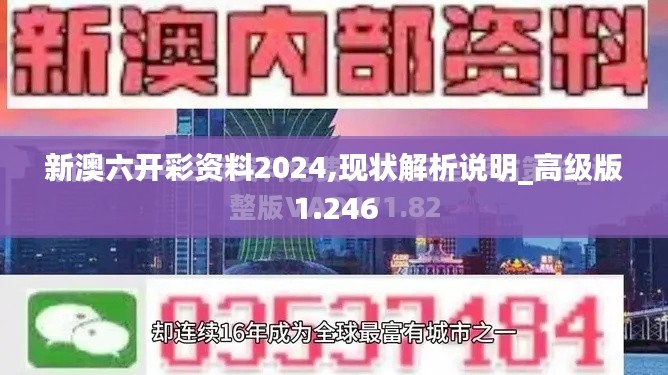 新澳六开彩资料2024,现状解析说明_高级版1.246