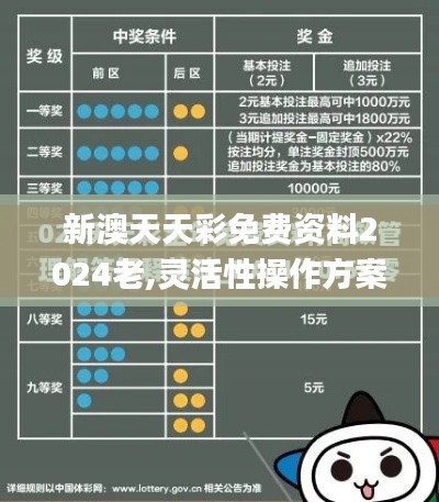 新澳天天彩免费资料2024老,灵活性操作方案_P版6.159