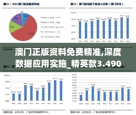 澳门正版资料免费精准,深度数据应用实施_精英款3.490