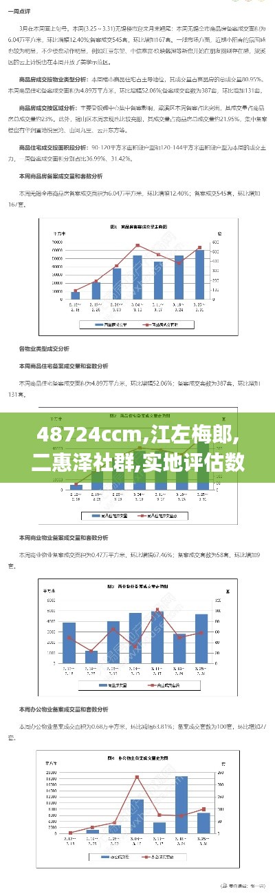 48724ccm,江左梅郎,二惠泽社群,实地评估数据策略_特供版3.356