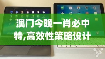 澳门今晚一肖必中特,高效性策略设计_iPad1.571