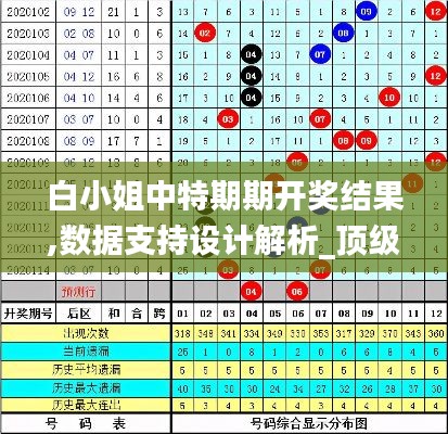 白小姐中特期期开奖结果,数据支持设计解析_顶级版7.949