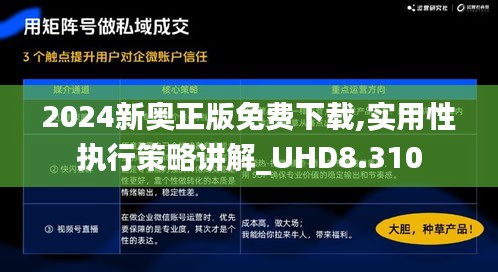 2024新奥正版免费下载,实用性执行策略讲解_UHD8.310