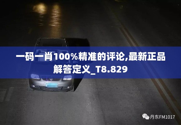 一码一肖100%精准的评论,最新正品解答定义_T8.829