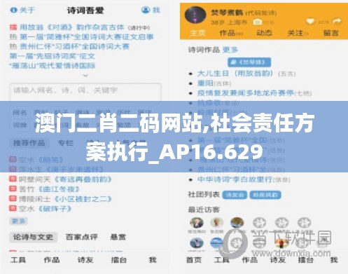 澳门二肖二码网站,社会责任方案执行_AP16.629