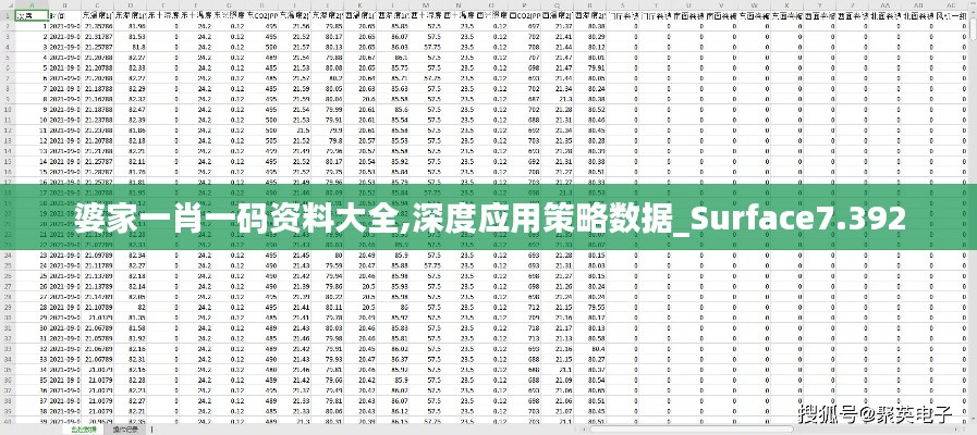 婆家一肖一码资料大全,深度应用策略数据_Surface7.392