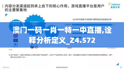 澳门一码一肖一特一中直播,诠释分析定义_Z4.572