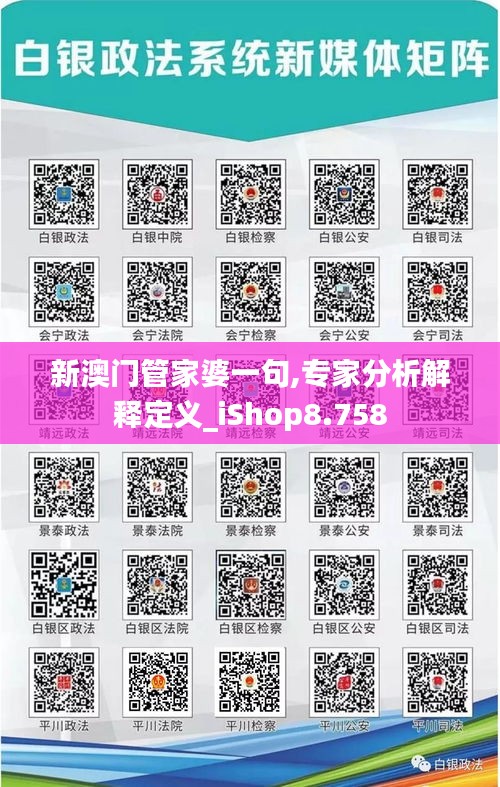 新澳门管家婆一句,专家分析解释定义_iShop8.758