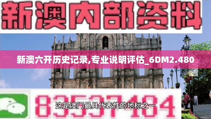 新澳六开历史记录,专业说明评估_6DM2.480