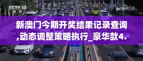 新澳门今期开奖结果记录查询,动态调整策略执行_豪华款4.191