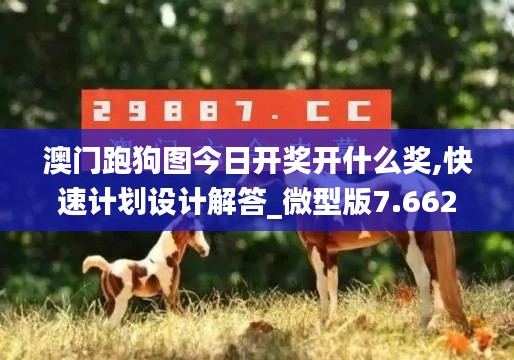 澳门跑狗图今日开奖开什么奖,快速计划设计解答_微型版7.662