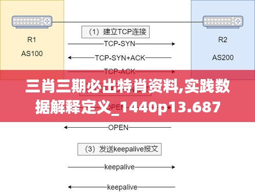 三肖三期必出特肖资料,实践数据解释定义_1440p13.687