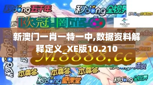 新澳门一肖一特一中,数据资料解释定义_XE版10.210