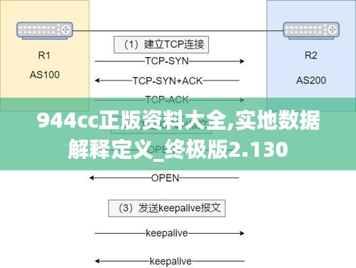 944cc正版资料大全,实地数据解释定义_终极版2.130