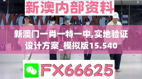 新澳门一肖一特一中,实地验证设计方案_模拟版15.540