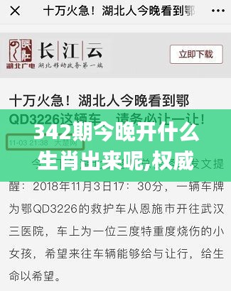 342期今晚开什么生肖出来呢,权威分析说明_L版3.226