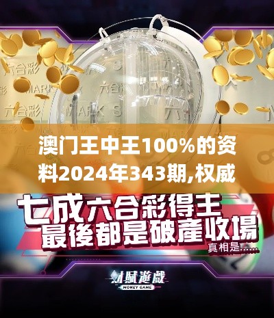 澳门王中王100%的资料2024年343期,权威分析说明_冒险款3.655