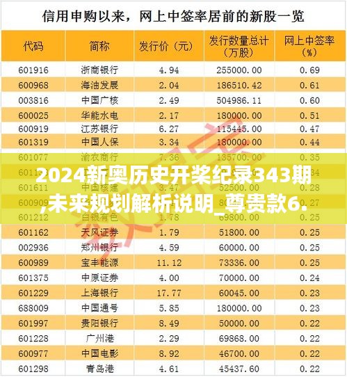 2024新奥历史开桨纪录343期,未来规划解析说明_尊贵款6.238