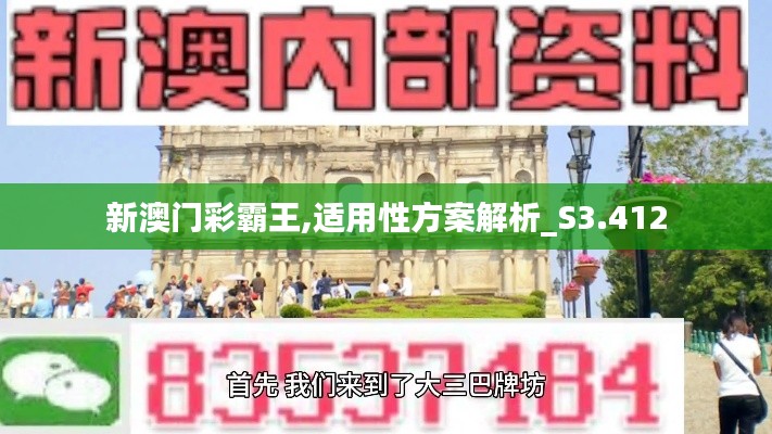 新澳门彩霸王,适用性方案解析_S3.412