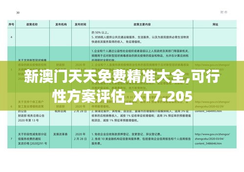 新澳门天天免费精准大全,可行性方案评估_XT7.205