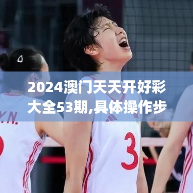 2024澳门天天开好彩大全53期,具体操作步骤指导_尊享版8.767