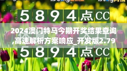 2024澳门特马今期开奖结果查询,高速解析方案响应_开发版2.794