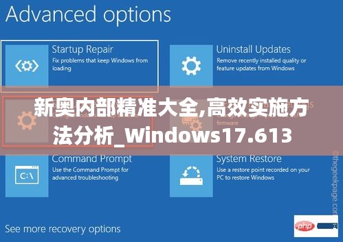 新奥内部精准大全,高效实施方法分析_Windows17.613