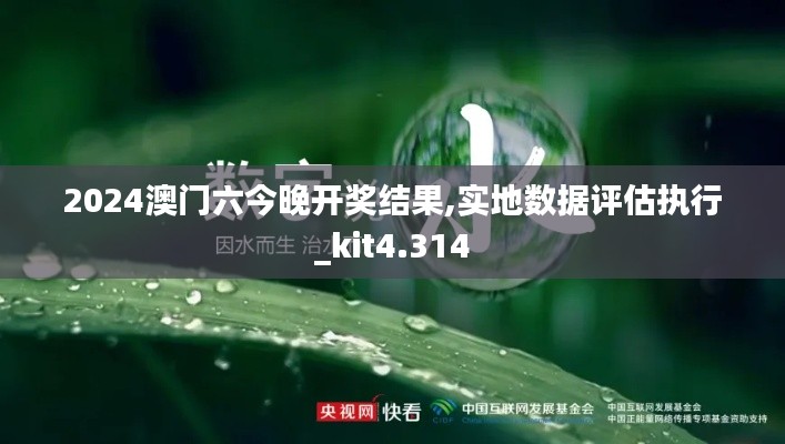 2024澳门六今晚开奖结果,实地数据评估执行_kit4.314