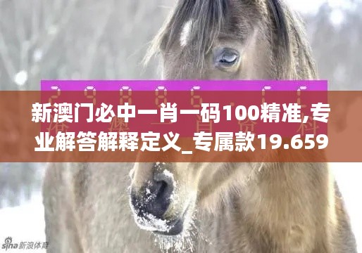 新澳门必中一肖一码100精准,专业解答解释定义_专属款19.659