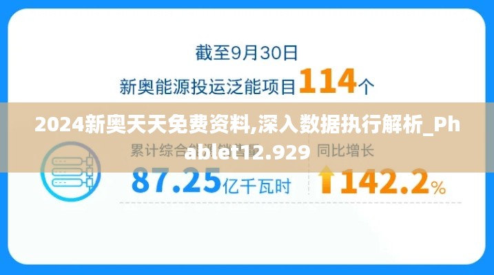 2024新奥天天免费资料,深入数据执行解析_Phablet12.929