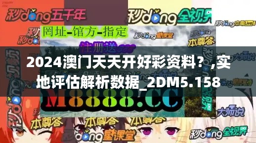 2024澳门天天开好彩资料？,实地评估解析数据_2DM5.158