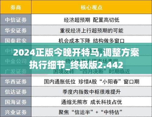 2024正版今晚开特马,调整方案执行细节_终极版2.442