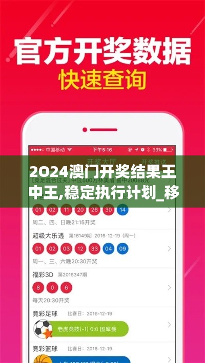 2O24澳门开奖结果王中王,稳定执行计划_移动版13.137