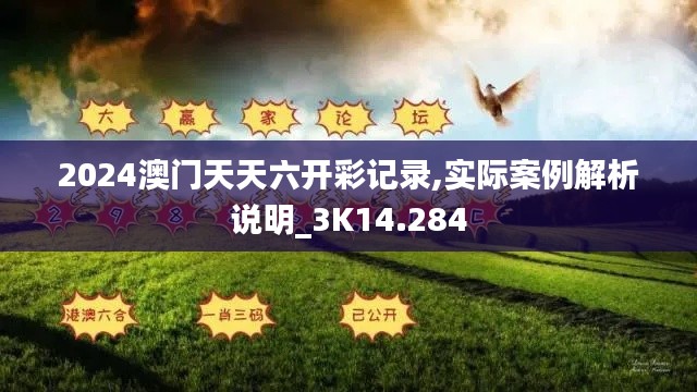 2024澳门天天六开彩记录,实际案例解析说明_3K14.284