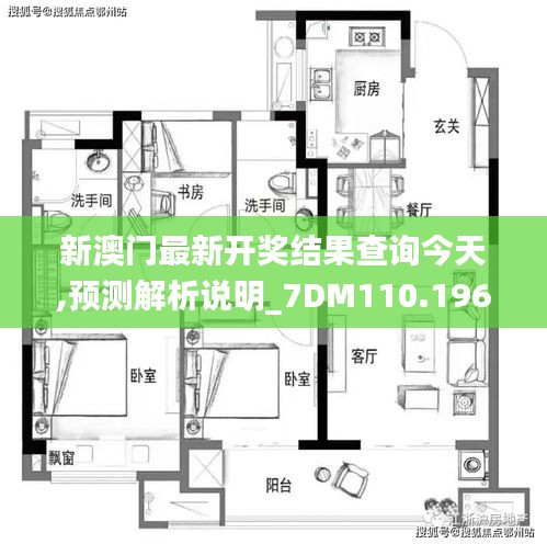 新澳门最新开奖结果查询今天,预测解析说明_7DM110.196