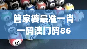 管家婆最准一肖一码澳门码86期,经典解答解释定义_ChromeOS2.612