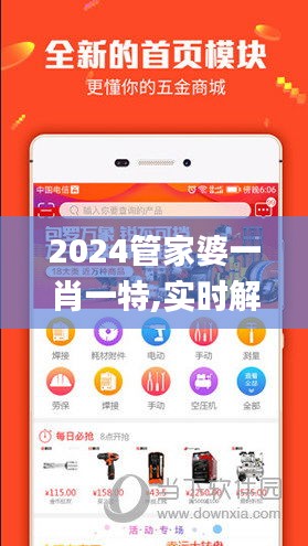 2024管家婆一肖一特,实时解析数据_set7.623