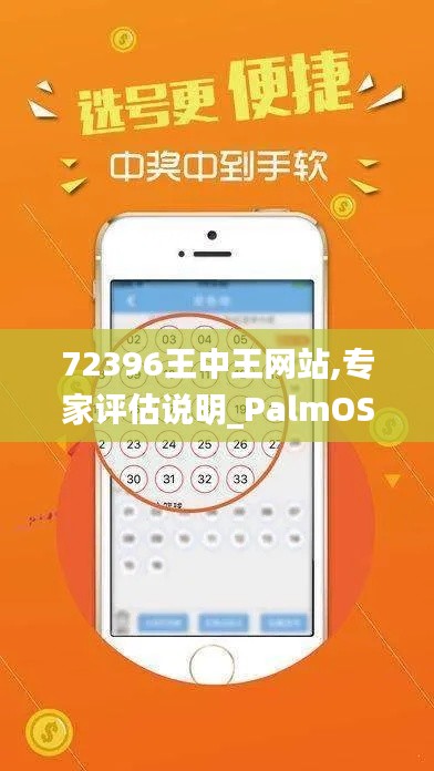 72396王中王网站,专家评估说明_PalmOS12.575