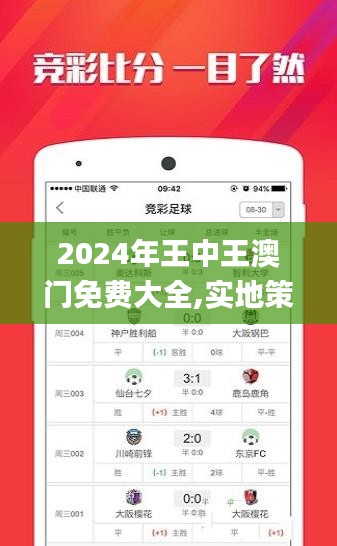 2024年王中王澳门免费大全,实地策略验证计划_6DM16.514