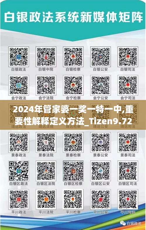 2024年管家婆一奖一特一中,重要性解释定义方法_Tizen9.725