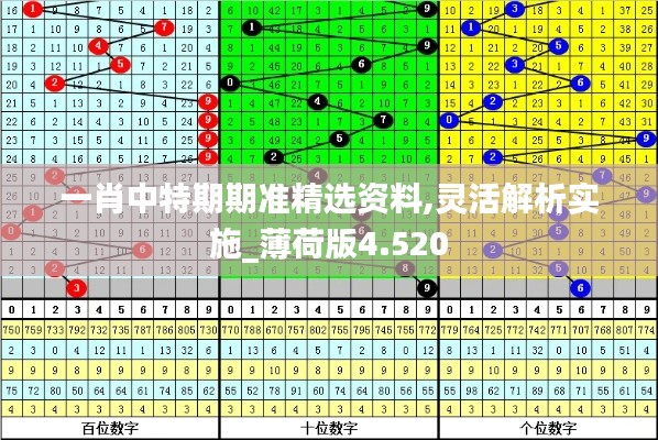 一肖中特期期准精选资料,灵活解析实施_薄荷版4.520