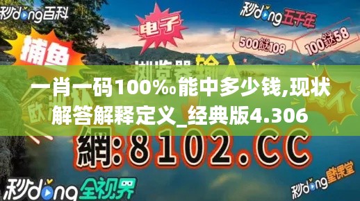 一肖一码100‰能中多少钱,现状解答解释定义_经典版4.306