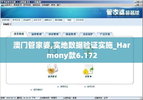 澳门管家婆,实地数据验证实施_Harmony款6.172