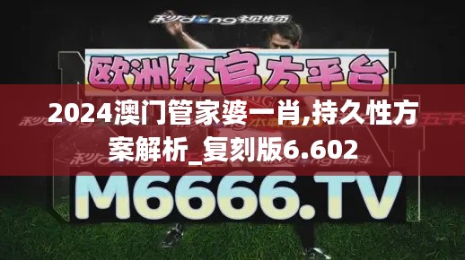 2024澳门管家婆一肖,持久性方案解析_复刻版6.602