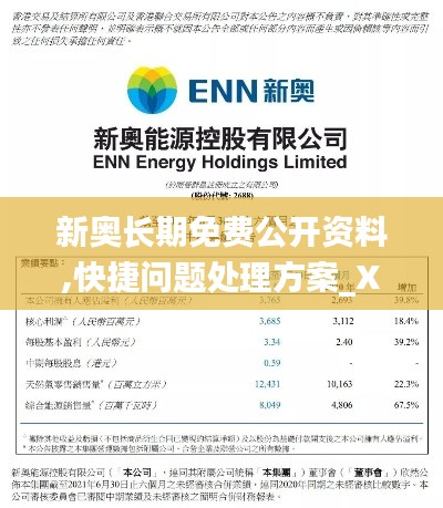 新奥长期免费公开资料,快捷问题处理方案_XP13.735