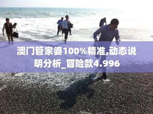 澳门管家婆100%精准,动态说明分析_冒险款4.996